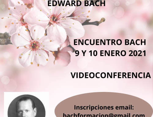 Encuentro Bach Enero 2021